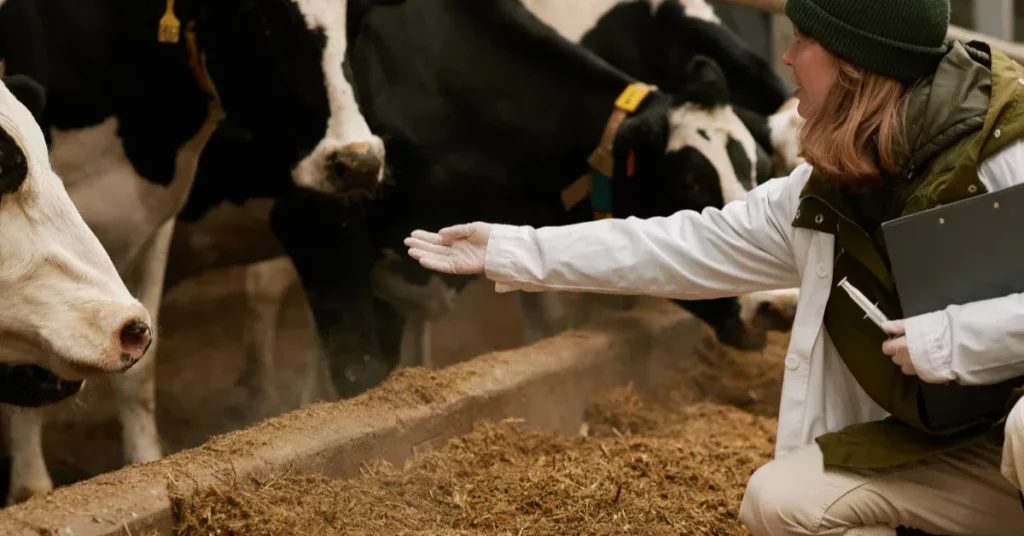 Mineral Analysis | Ensure Health & Productivity for Dairy Cows