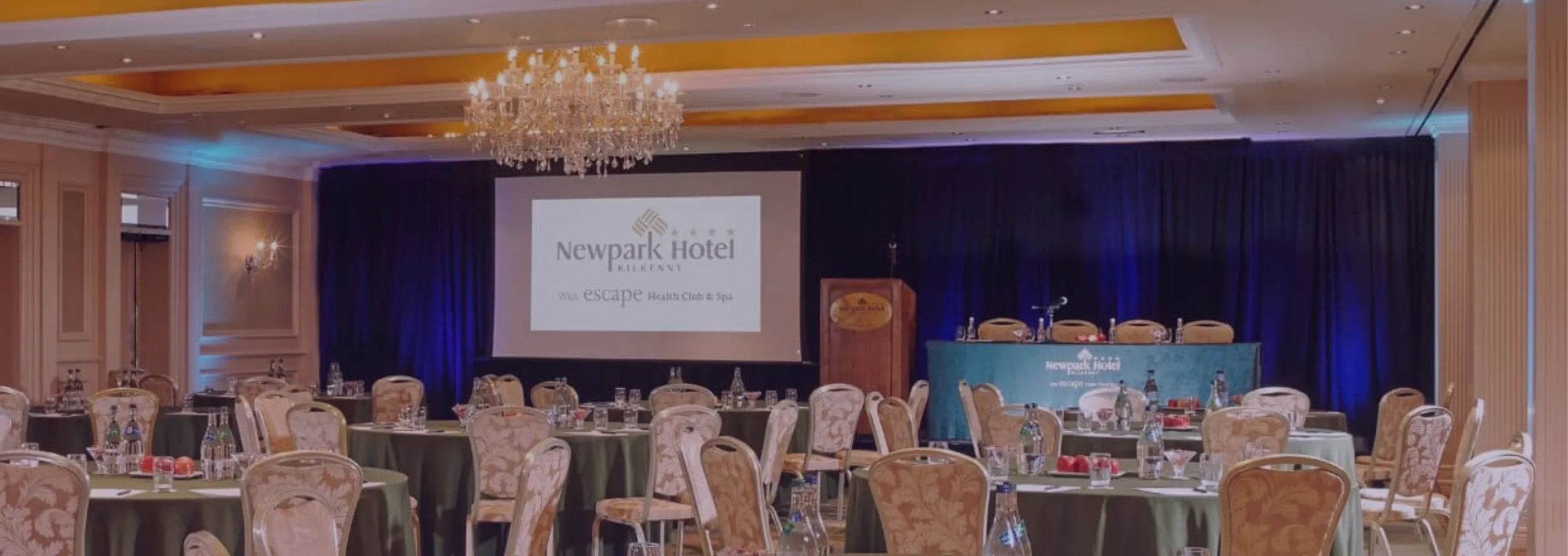 DairyCon in Newpark Hotel, Kilkenny