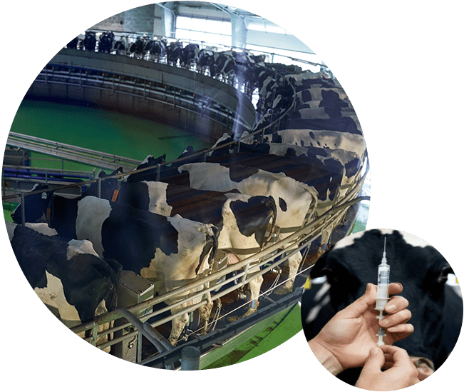 DairyCon - Why Attend Dairycon?